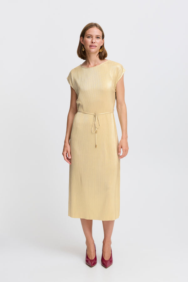 Pille Accordion Metallic Dress