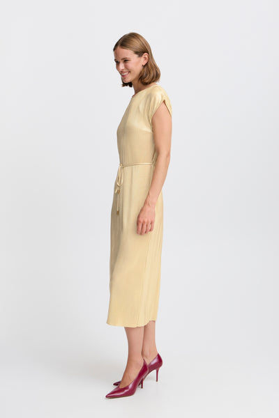 Pille Accordion Metallic Dress