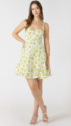 Finley Floral Mini Dress