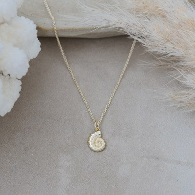 Spiral Shell Necklace - 2 Colour Options
