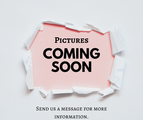 Fraleigh Printed Knit Top