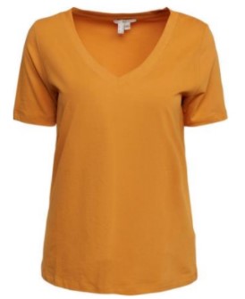 Lina Soft Brushed V Neck T-Shirt - 2 Colour Options